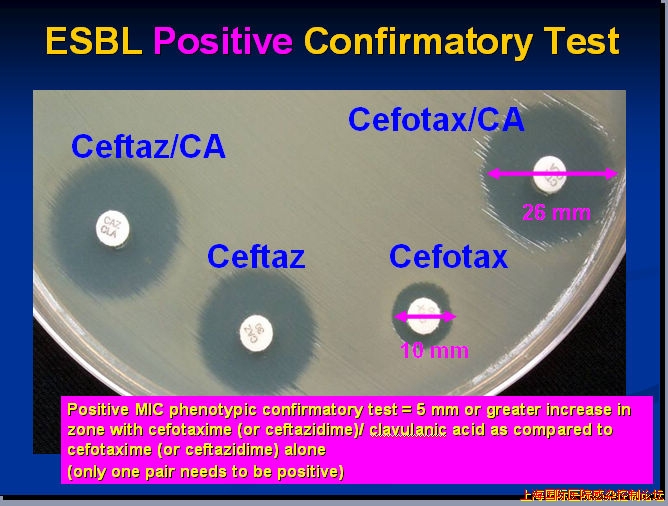 ESBL确证试验.jpg ESBL确证试验.jpg