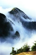 u=4125270506,4186867438&fm=52&gp=0.jpg u=4125270506,4186867438&fm=52&gp=0.jpg