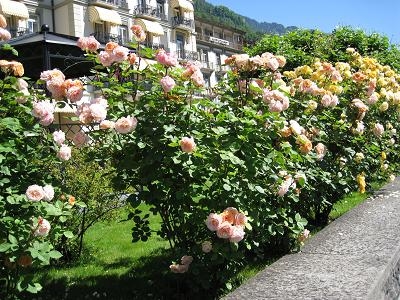 2012.6.12-21欧洲之旅 831.jpg