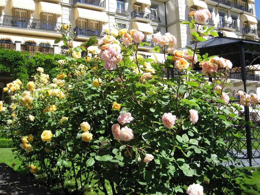 2012.6.12-21欧洲之旅 844.jpg