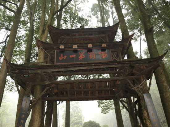 P3261168.jpg P3261168.jpg