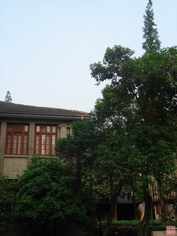 DSC03347.jpg DSC03347.jpg